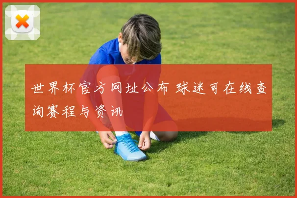 世界杯官方网址公布 球迷可在线查询赛程与资讯
