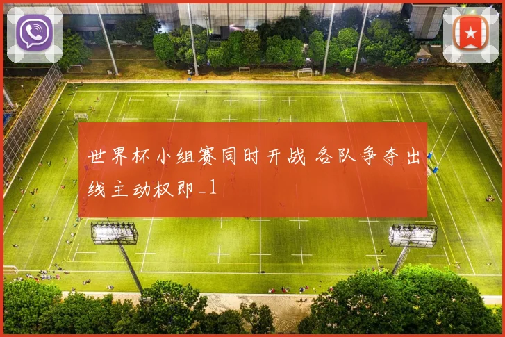 世界杯小组赛同时开战 各队争夺出线主动权即_1