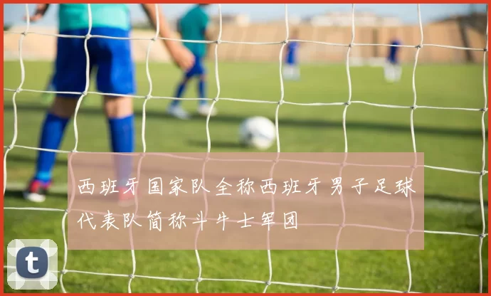 西班牙国家队全称西班牙男子足球代表队简称斗牛士军团