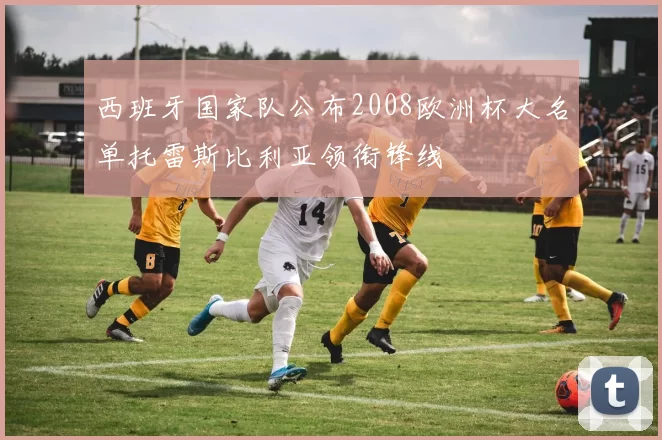 西班牙国家队公布2008欧洲杯大名单托雷斯比利亚领衔锋线