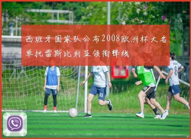 西班牙国家队公布2008欧洲杯大名单托雷斯比利亚领衔锋线